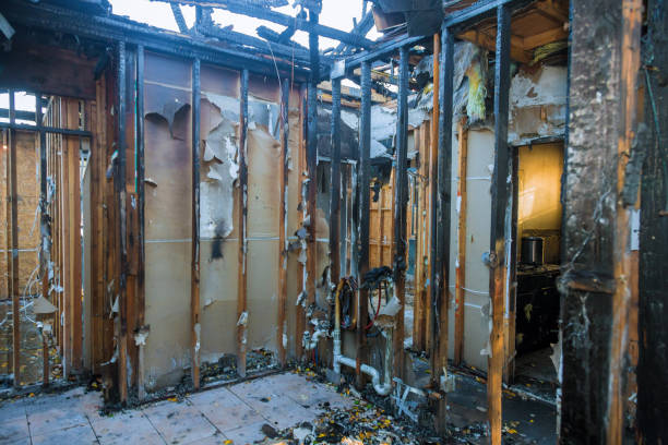 Professional Odor Removal technician working in Tahoka, TX